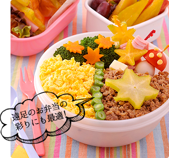 遠足のお弁当の彩りにも最適！