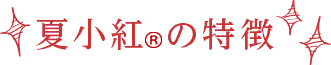 夏小紅の特徴