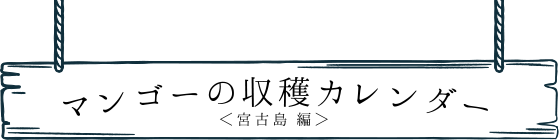 マンゴーの収穫カレンダー（宮古島編）