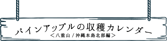 パインアップルの収穫カレンダー（八重山／沖縄本島北部編）