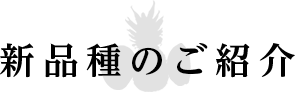 新品種のご紹介